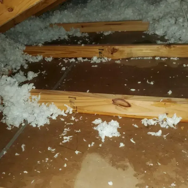 Attic Water Damage in Montpelier, ID