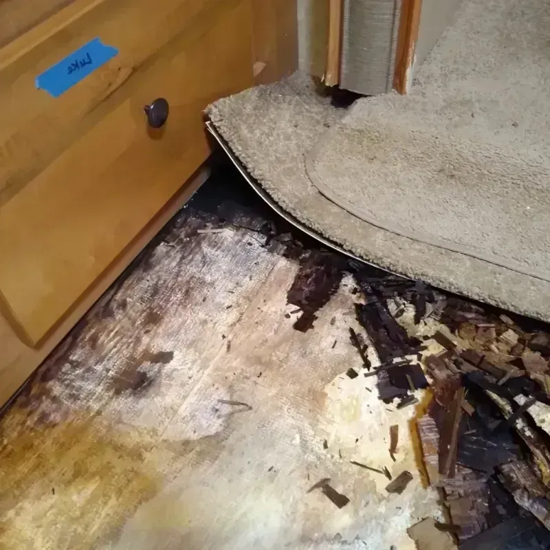 Wood Floor Water Damage in Montpelier, ID